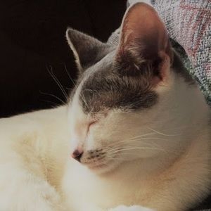 Meet your Posher, Chloe